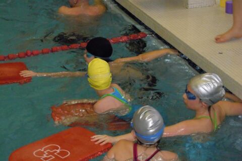 Lausanne Natation