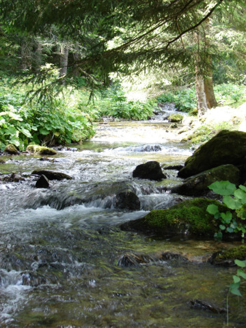 Gouilles de la Salanfe