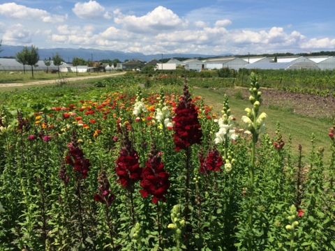 Jardin Biologique de La Flânerie