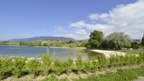 Plage de Cortaillod