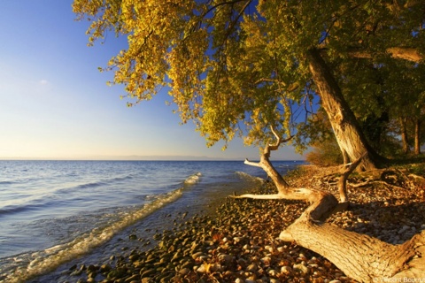 Plage de la Pointe du Grain