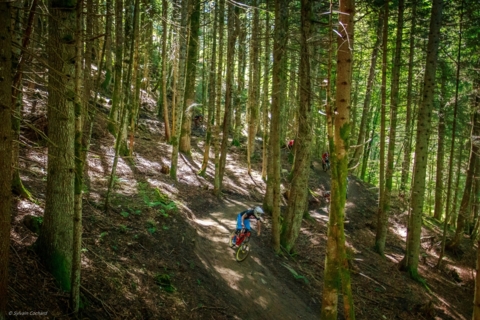 Bike Park de Bernex