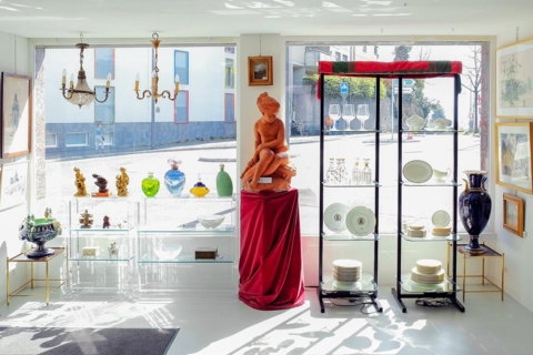 DognyAuction – Espace Montelly
