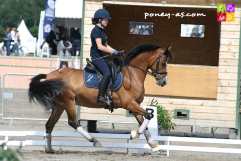 Poney Club Chavannes-de-Bogis
