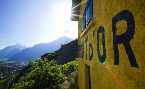Escapeworld – Sion