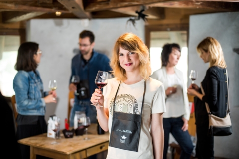 Sion Wine Tour