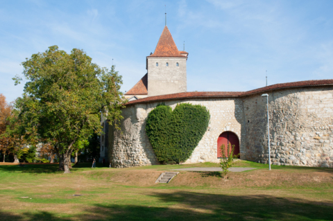Musée du Château de Nidau