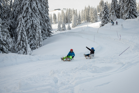 Piste de luge de Charmey