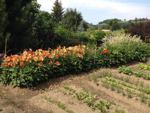 Jardin de la Passion