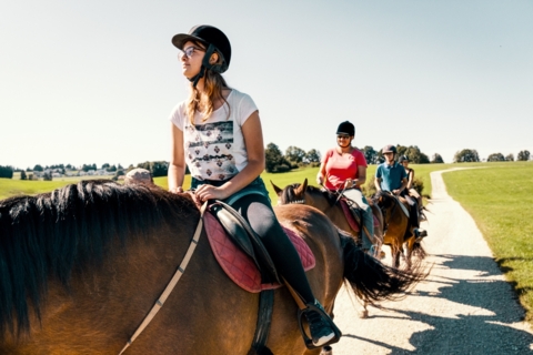 Tous en selle – Bon pour une balade à cheval