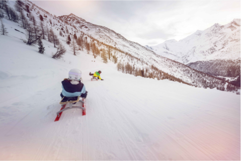 Piste de luge des Rousses à Anzère