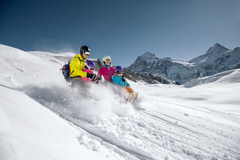 Piste de luge « Big Pintenfritz »