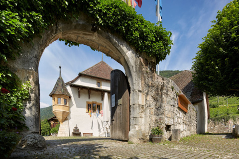 Musée de la vigne du lac de Bienne