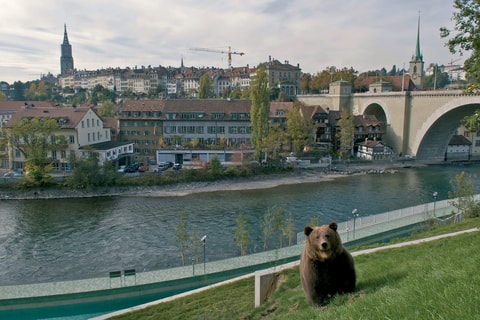 Parc aux Ours