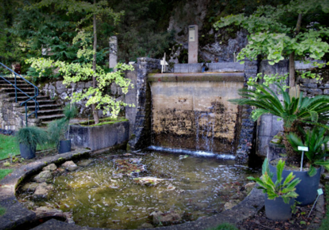 Jardin botanique de Neuchâtel