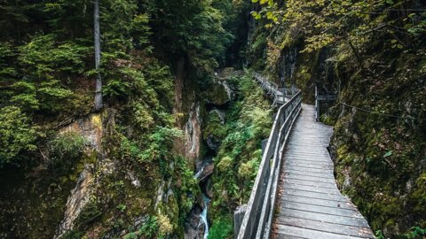Gorges mystérieuses de Tête Noire