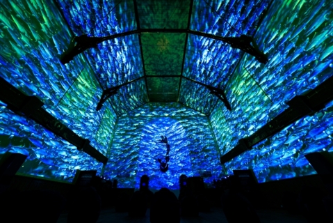 Pixel Zoo Ocean à Genève