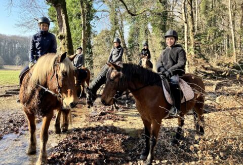 Cours d&rsquo;équitation à Coinsins
