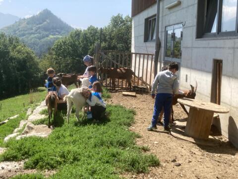 Ferme La Chèvre pédagogique