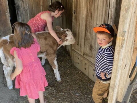 Ferme en famille à Château-d&rsquo;Œx