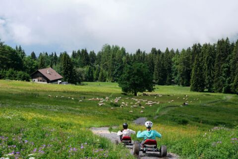 Mountain Cart à Villars (VD)