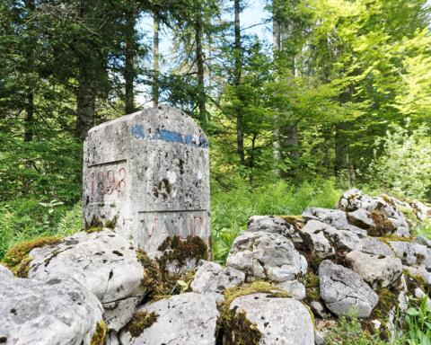 Le sentier des Bornes