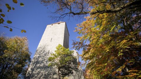 Tour de la Molière
