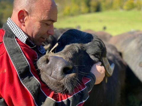 La ferme des buffles du Val-de-Travers