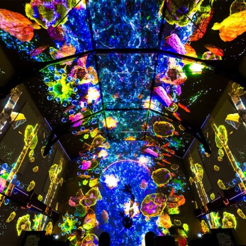 Spectacle son et lumières « FLOW » – Genève