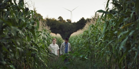Projection gratuite au Cinétoile Malley Lumières