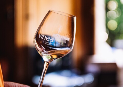 VINEA Le Salon à Sierre (VS)