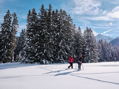 Fest’Hiver – Col des Mosses (VD)