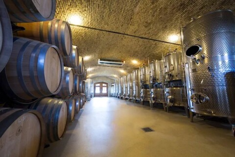 Escape game de Noël au vignoble – Satigny (GE)