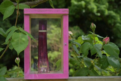 Créer son propre parfum pour la Saint-Valentin (NE)