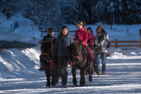 Matinées avec les poneys à Morgins