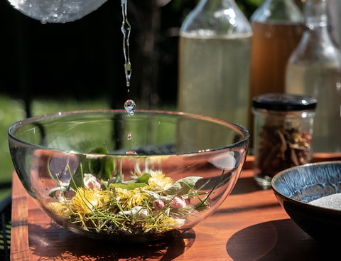 Atelier fermentation de kéfir, kombucha ou soda sauvage