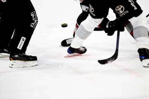 Championnat du monde de hockey sur glace