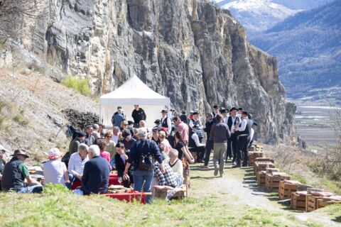 Fête de la taille à Chamoson (VS)