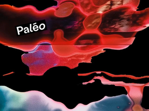 Paléo 2026 dévoile son affiche faite avec l&rsquo;IA