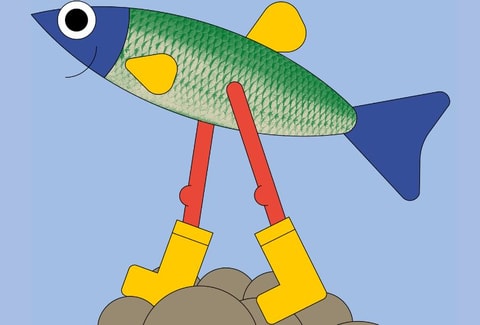 Expo – Un poisson comment ça marche ?