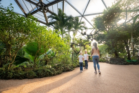 Papiliorama : Le musée de l&rsquo;aventure tropicale