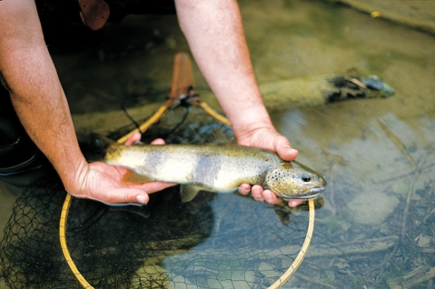 Jura Fly Fishing