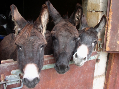 La Ferme Aux Cretegny