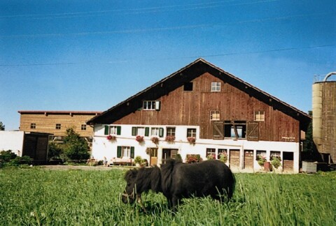 Vacances à la Ferme