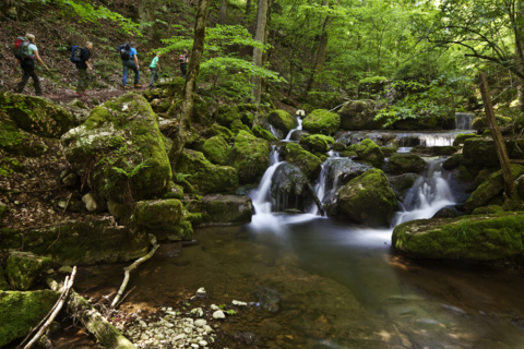 Gorges de Douanne