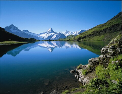 Grindelwald-First (été)