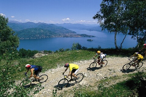 Vélo à Stresa