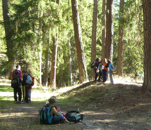 Ecole de la Forêt