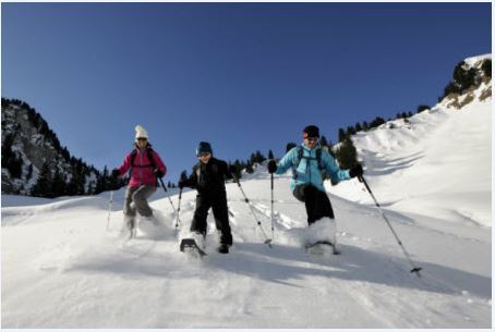 Erlenbach im Simmental