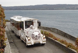 Petit train Viniterra
